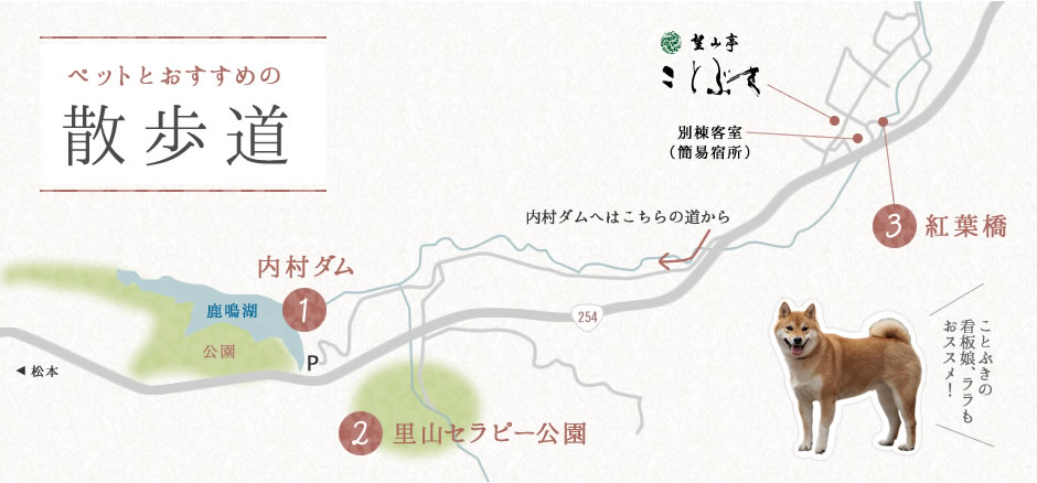 ペットとおすすめの散歩道